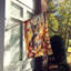 Chat en feuilles d'automne-112700524