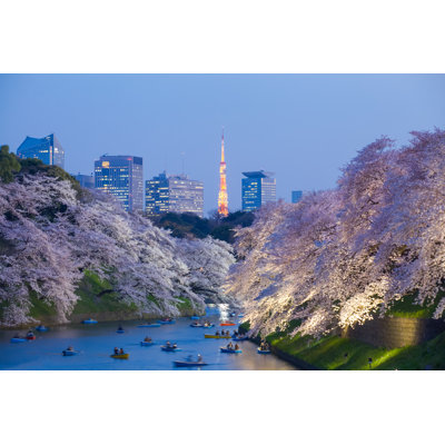 " Beautiful Sakura Cherry Blossom Light Up And Tokyo Tower " by Torsakarin
