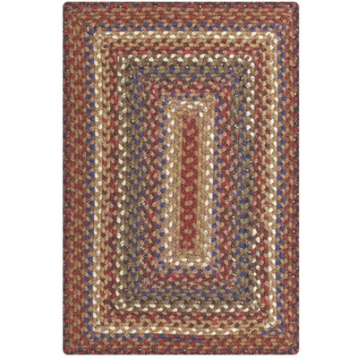 Privett Braided Cotton Rug for Coastal Decor Rug