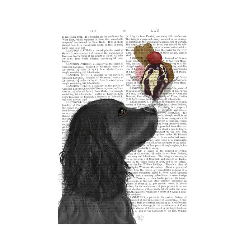 Cocker Spaniel, Black, Ice Cream, Print BG by Fab Funky - Wrapped Canvas Gallery-Wrapped Canvas Giclée