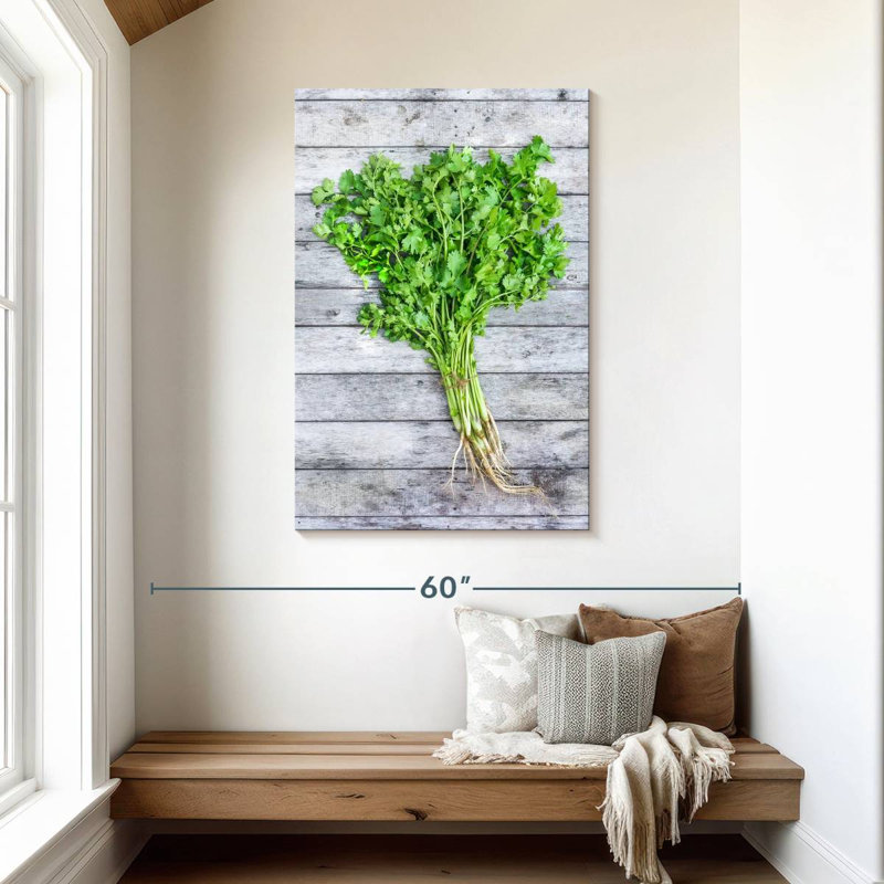 Harnek Cilantro, 45" H x 30" W