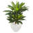 Double Agave Succulent Artificial Plant in White Planter