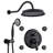 All-In-One Kit with Rough in-Valve