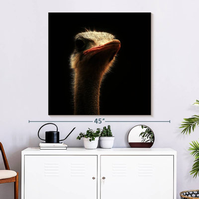Crowle Gallant Ostrich