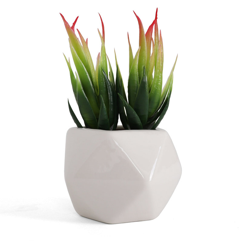 Plante grasse artificielle 6,25 po dans un vase décoratif