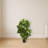 Fiddle Leaf Artificial Tree