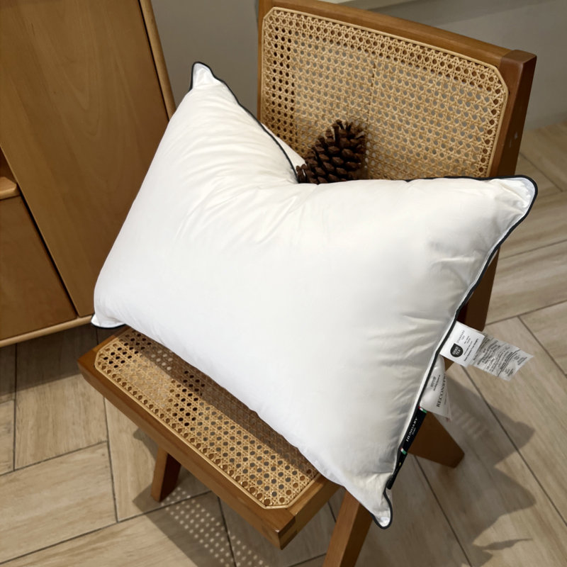 Oreiller en duvet d'oie blanche, housse 100% coton, Standard, 1