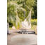 Crouse Solid Colour Area Rug-37289596