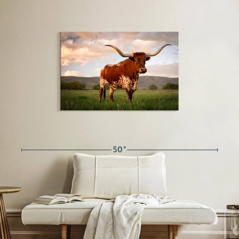 Brown Texas Longhorn, 24" H x 36" W