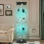 Vitrine en verre avec lumières à DEL, vitrines en verre avec tablettes, vitrines-113021809