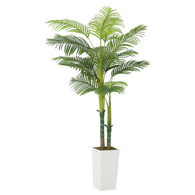 59.06cm Plant