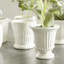 Mirabelle Ceramic Planter