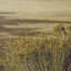 «Antelope Island» par Gary Blatter, reproduction d'art encadrée à la main