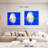 Brampt Pompadour Discus Fish-109114691