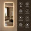 Miroir pleine longueur 65 po x 21 po avec miroir de corps de meuble-lavabo lumineux à DEL avec coins arrondis muraux de grande taille pour chambre à coucher / salon / vestiaire / hôtel / salle de bain, transparent