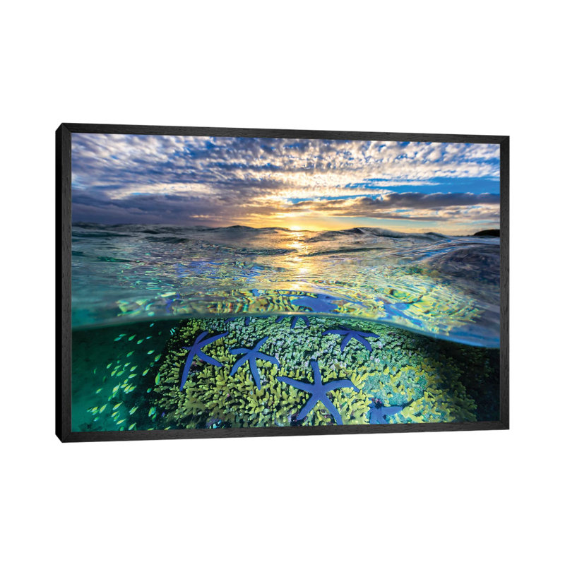 A Sea Of Stars by Jordan Robins - Print on Canvas, Black Framed, 45.72cm H x 66.04cm W x 3.81cm D