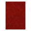 Kataliya Area Rug in Red