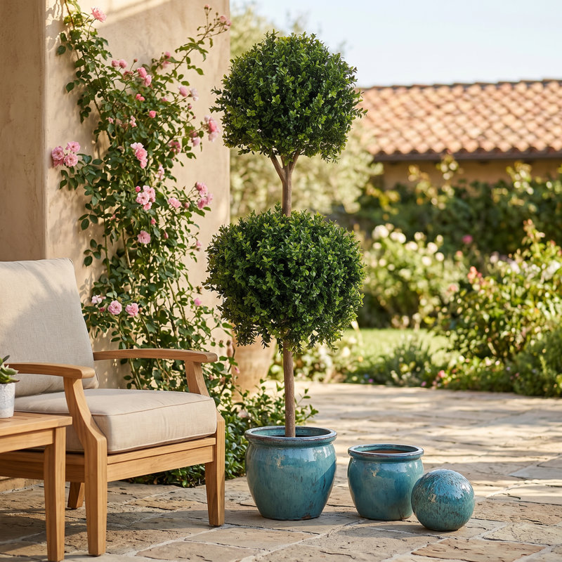 Boxwood Ball Topiary