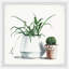 Potted Green Plants - Single Picture Frame Painting-417096718