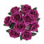 Grand rosier Jaafer Deluxe-927148383