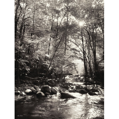 " Little Pigeon River Portrait "