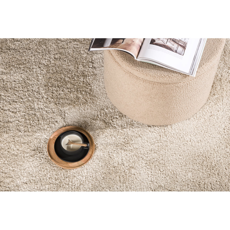 Hand Woven Area Rug, Rectangle 240 x 340cm