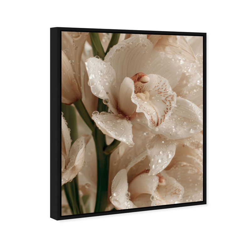 Water Droplets Print by Oliver Gal, 37" H x 31" W, Black Floater Frame