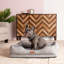 Bolste Orthopedic Polyester Pet Bed-50952873