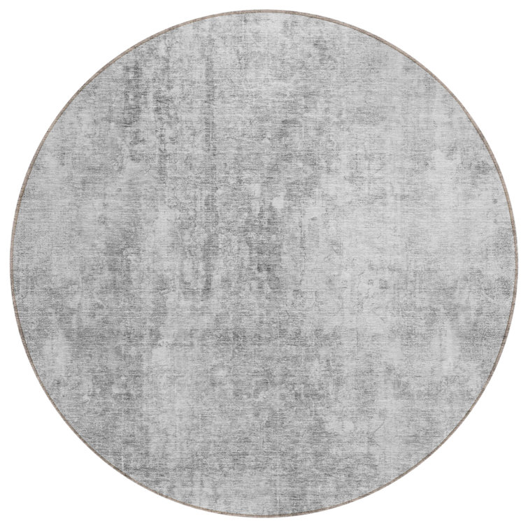  Caseville Area Rug