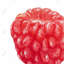Framboise - gastronomie, reproduction matte encadrée rouge | Décoration intérieure-1189041303-1189041296