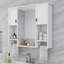 Armoire à pharmacie à miroir fixée au mur l 35 po H 28,7 po Rohin-97894749
