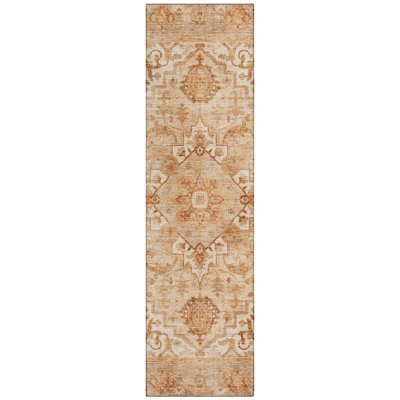 Machine Washable Indoor/Outdoor Oden ACN2164 Global Rug