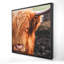 Portrait d'une vache Highland encadrée, Hygge-119950375