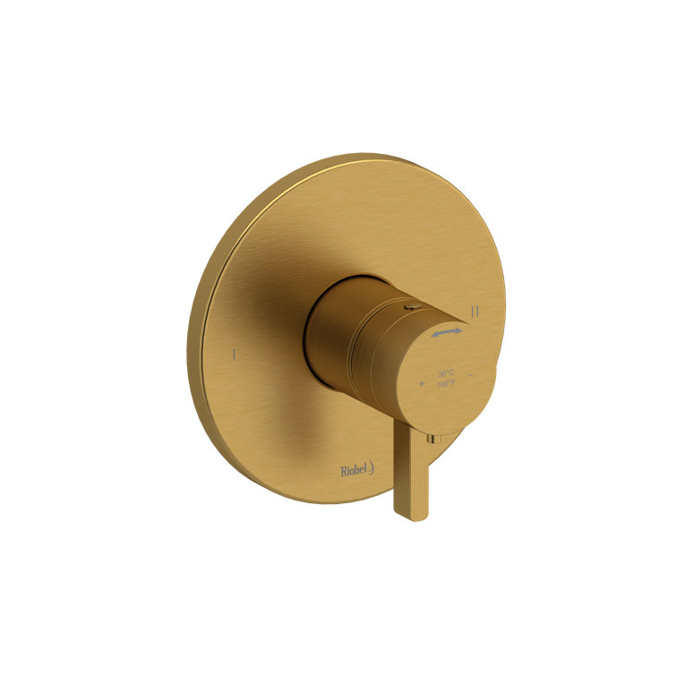 Paradox 1/2" Therm & Pressure Balance Trim With 2 Functions