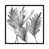 Toile avec cadre noir n'est pas disponible