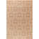 Edmont Oriental Indoor Rug