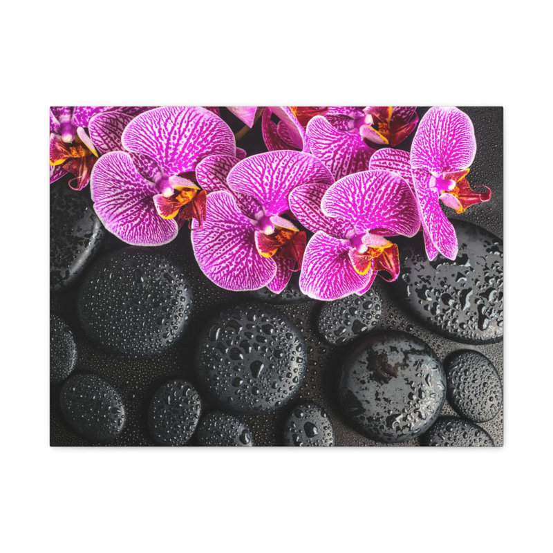 Violet, orchidée sur pierre, art floral sur toile, photographie de nature