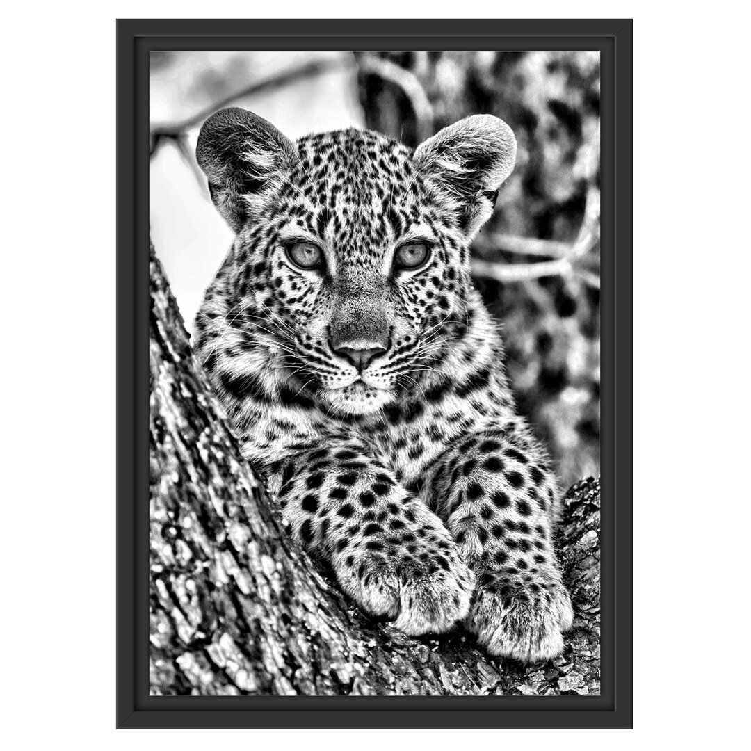 Gerahmtes Wandbild Leopardenbaby