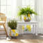 Jardinières en ciment à motif citronné 7 "et 6" - jaune, blanc et gris Culliton - ensemble de 2 décorations de jardin intérieur / extérieur