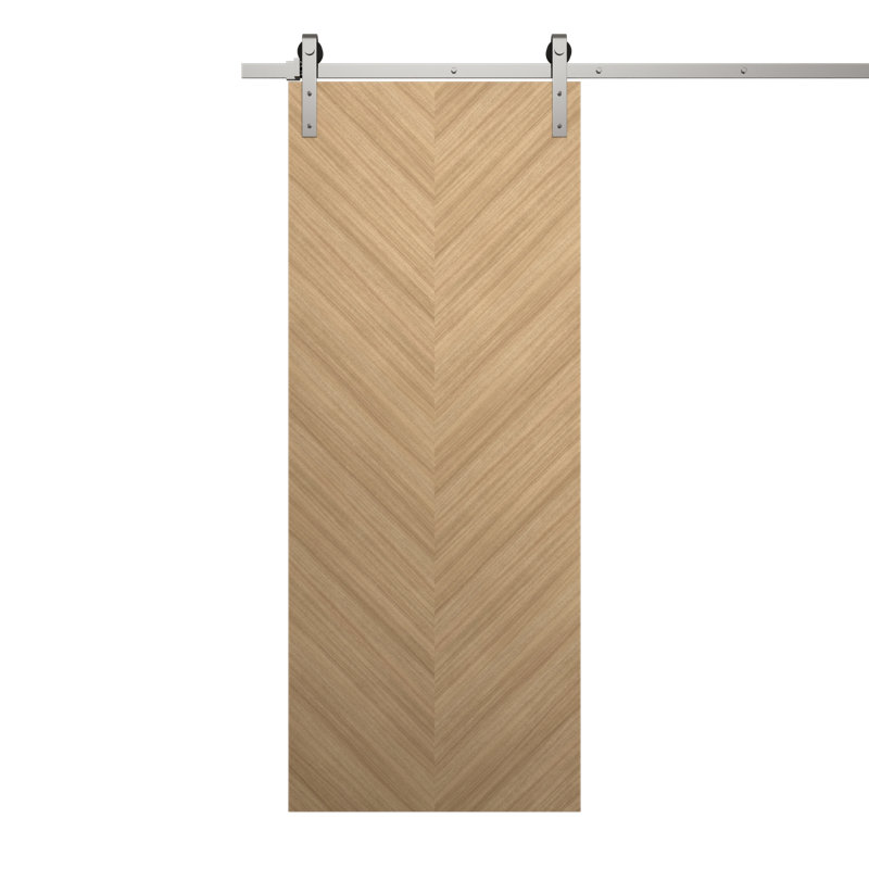 Porte de grange moderne | Ego 5005 | Ensemble de quincaillerie lourde Silver Rail Track | Portes intérieures solides
