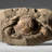 Charybdis Fossil Crab from Indonesia (261.5 Grams)-135927716