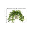 Plante lierre artificielle 7 po Rio