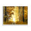 «Stupell Industries Autumn Path Landscape», art mural sur toile par Derek Scott-91297010