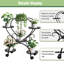 Plant Stand