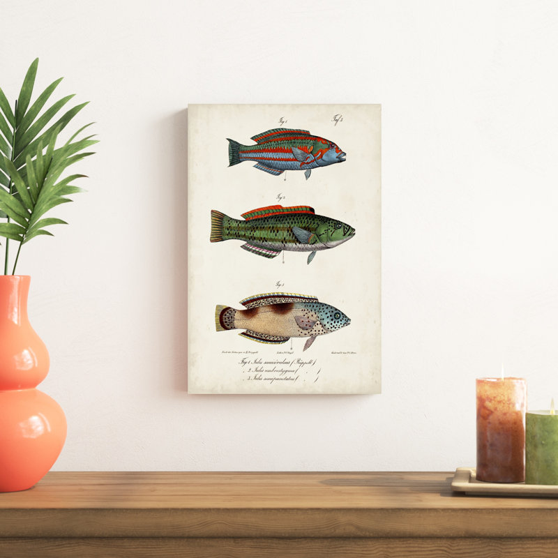 Trio de poissons antiques I, H 18 po x l 12 po x P 1,25 po