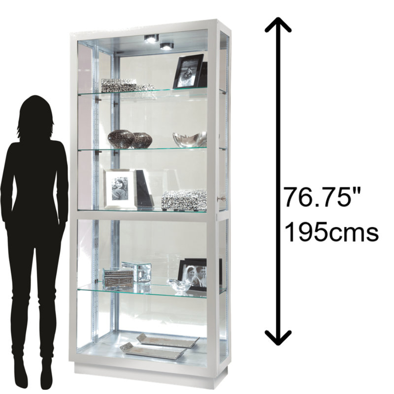 Jeliel Lighted Glass Curio Cabinet with Adjustable Shelves, Silver