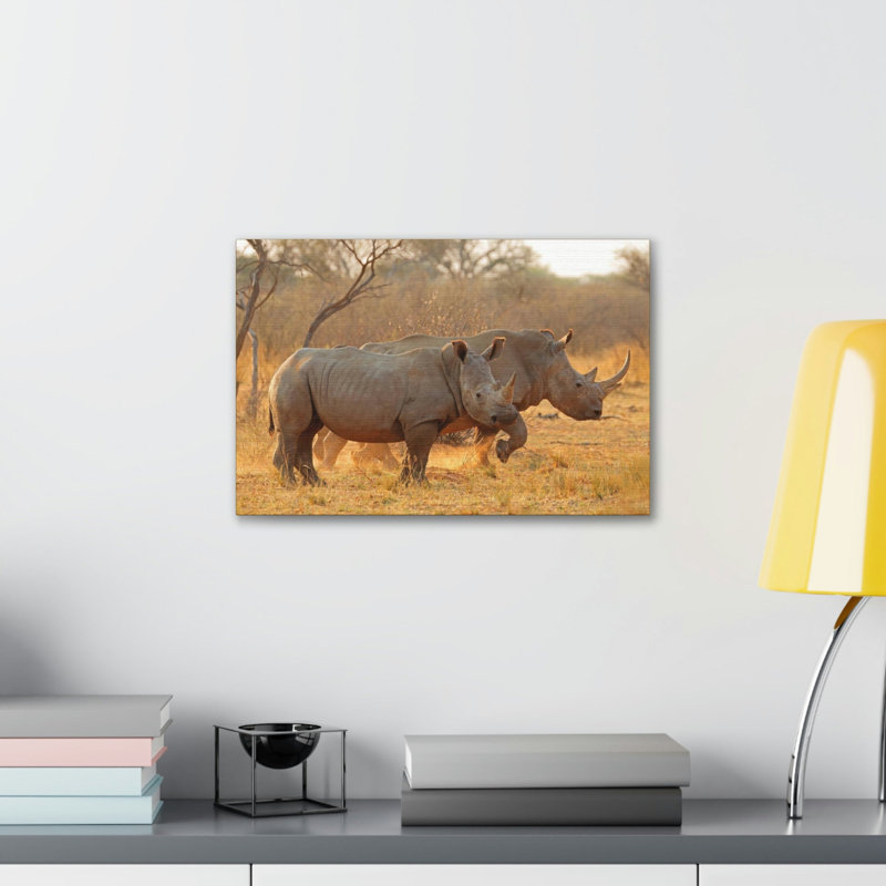 No Frame Print on Canvas, 30.48cm H x 40.64cm W