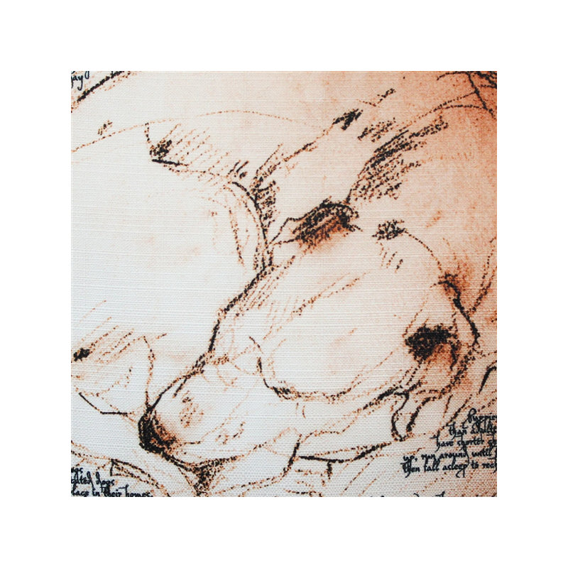 Coussin intérieur / extérieur 'Dreaming Dog