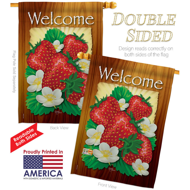 Double Sided 40 in. H x 28 in. W Polyester House Flag