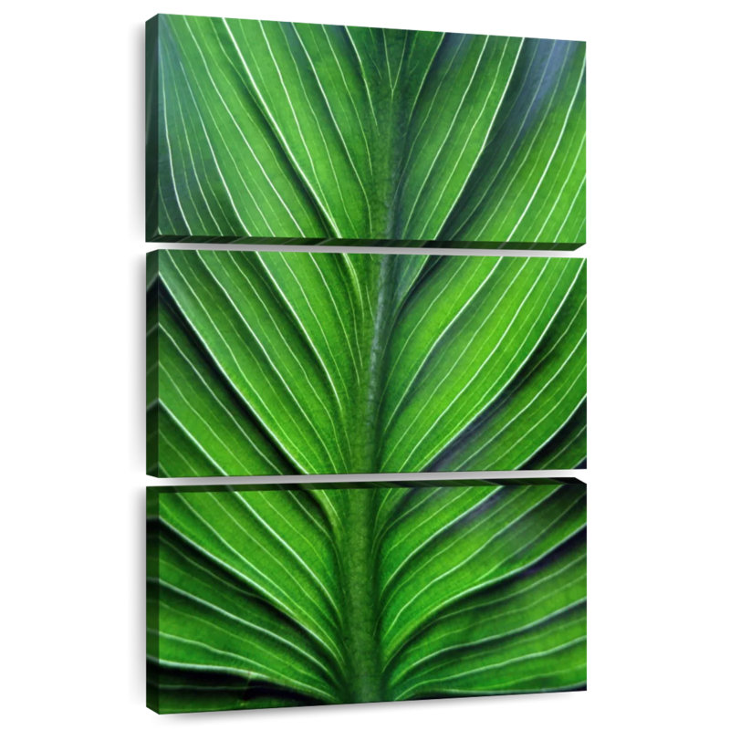 Harnek Leaf Lines, H 32 po x l 20 po